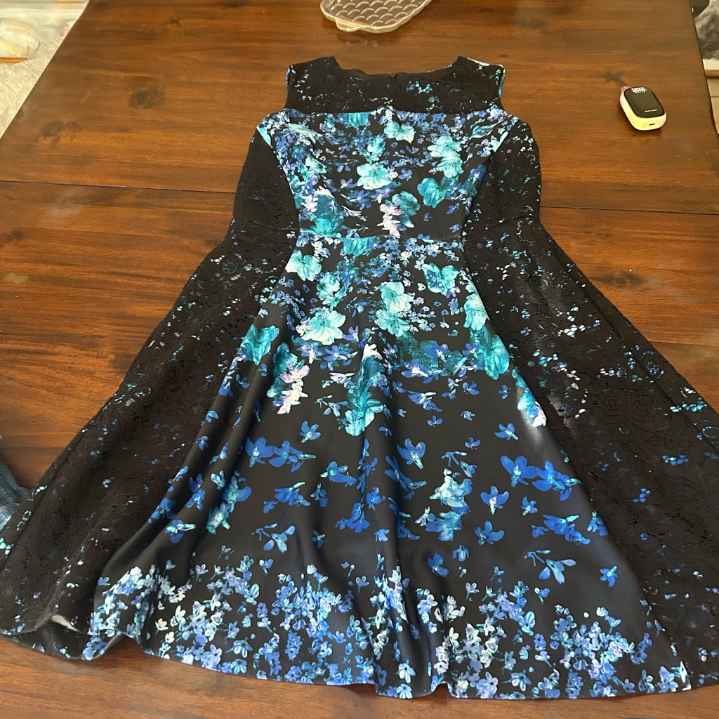 Roz & Ali Black Dress With Blue Floral Accents
